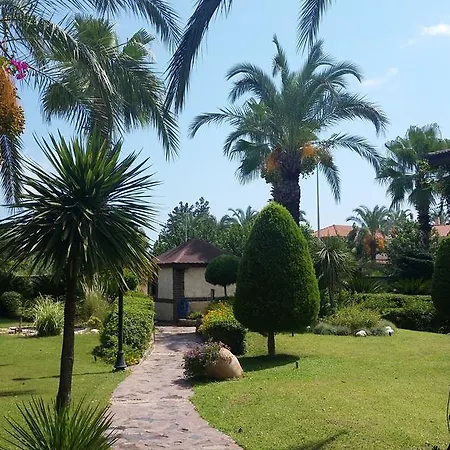 Kompleks Demirkaya * קמר