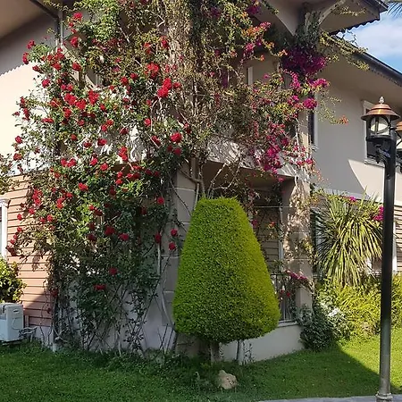 Kompleks Demirkaya *